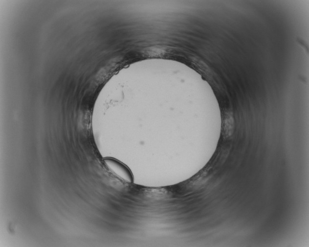 X0000101980525200808081618