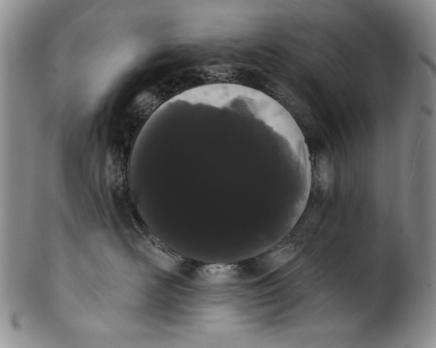 X0000101980526200808081618