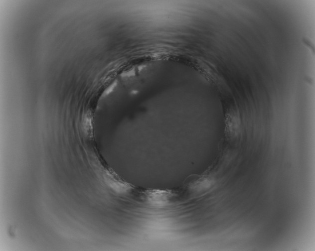 X0000101980527200808081618