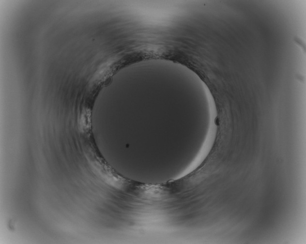 X0000101980528200808081618