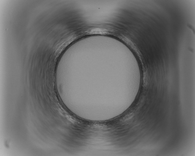 X0000101980529200808081617