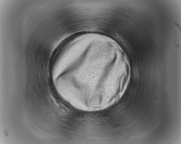 X0000101980532200808081617