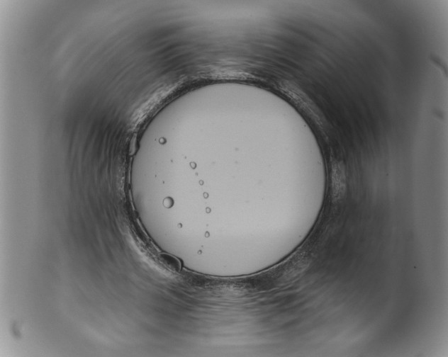 X0000101980533200808081617