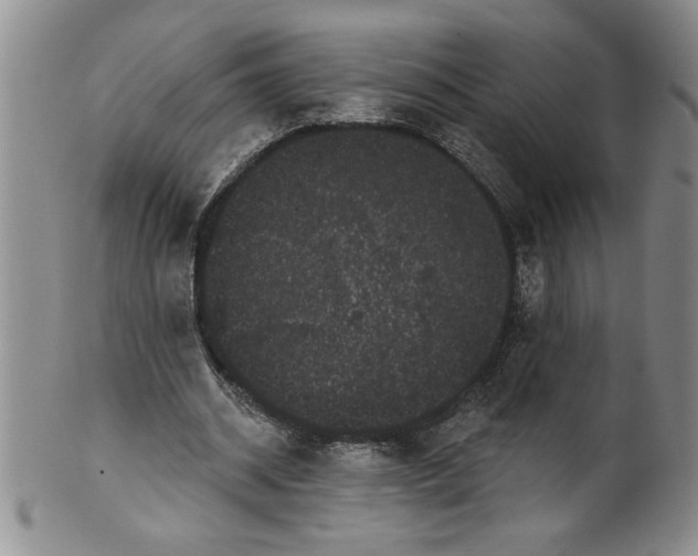 X0000101980534200808081617