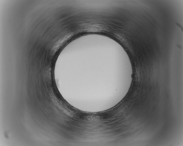 X0000101980535200808081617