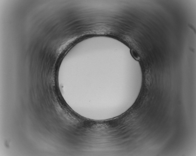 X0000101980536200808081617