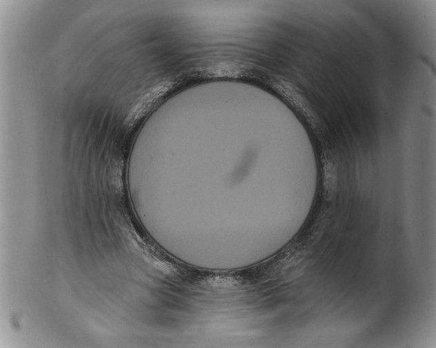 X0000101980537200808081617