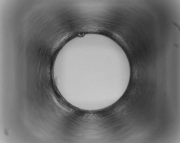 X0000101980538200808081618