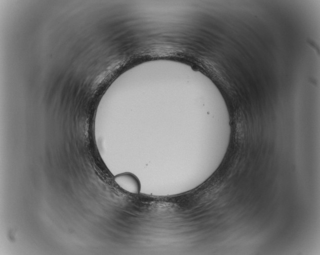 X0000101980539200808081618