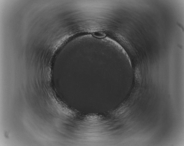 X0000101980540200808081618