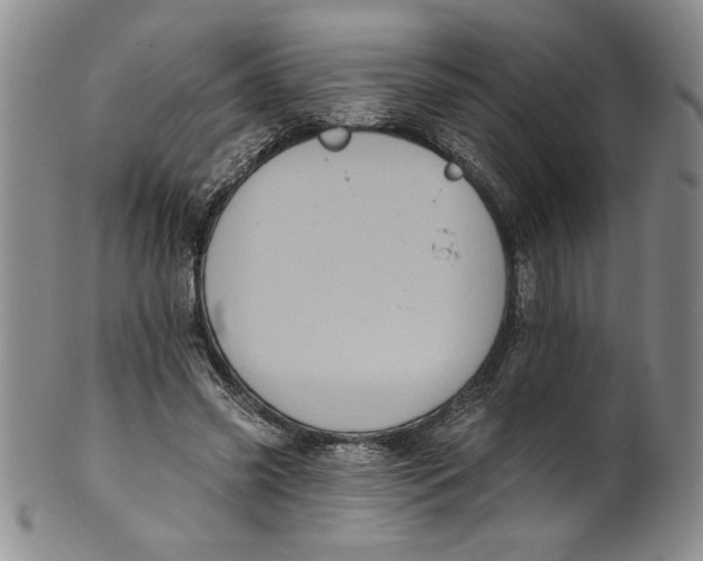 X0000101980541200808081618