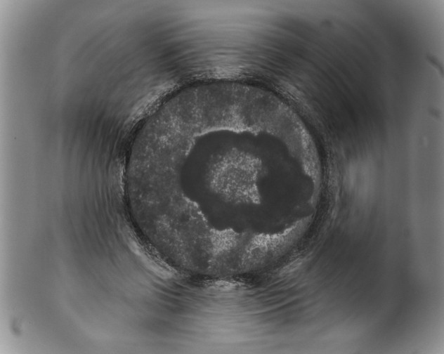 X0000101980542200808081618