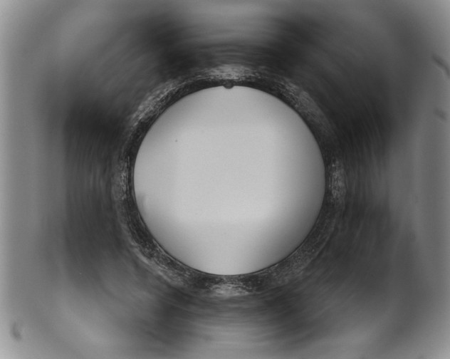 X0000101980544200808081618