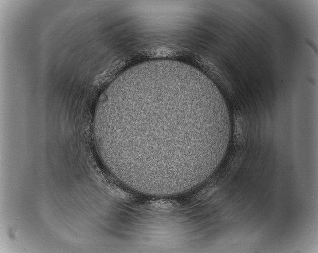 X0000101980545200808081618