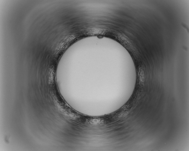 X0000101980546200808081618