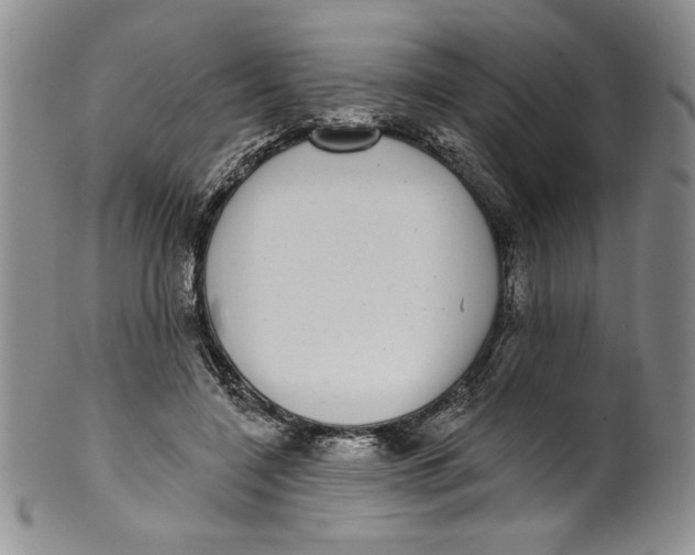 X0000101980548200808081618