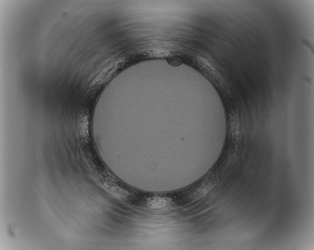 X0000101980549200808081618