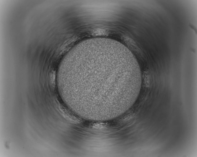 X0000101980550200808081618