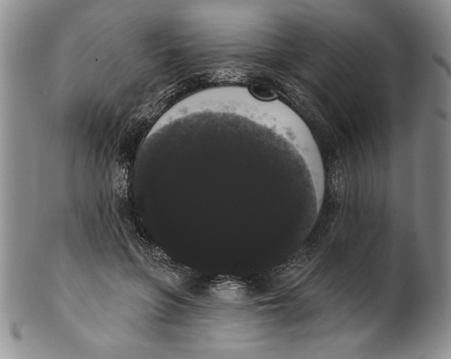 X0000101980551200808081618