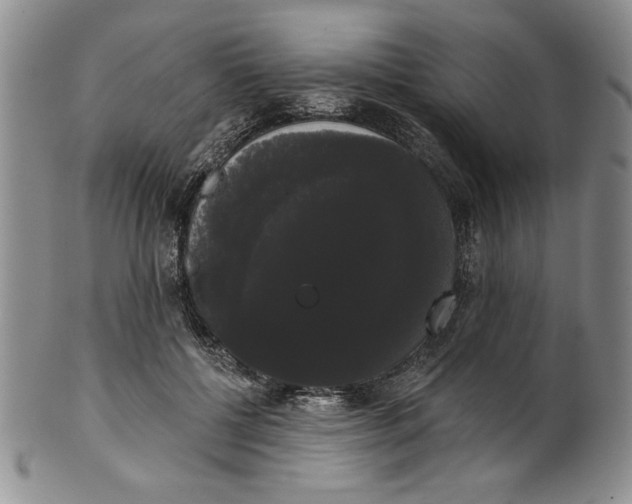 X0000101980552200808081618