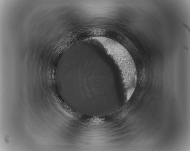 X0000101980553200808081618