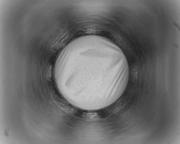 X0000101980554200808081618