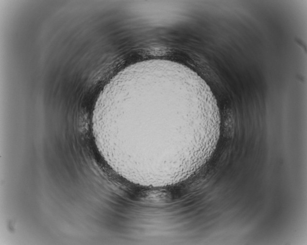 X0000101980555200808081618