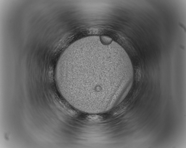 X0000101980557200808081618