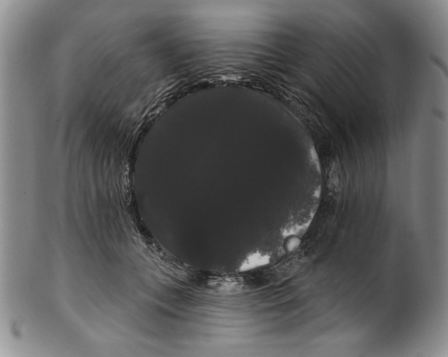 X0000101980559200808081618