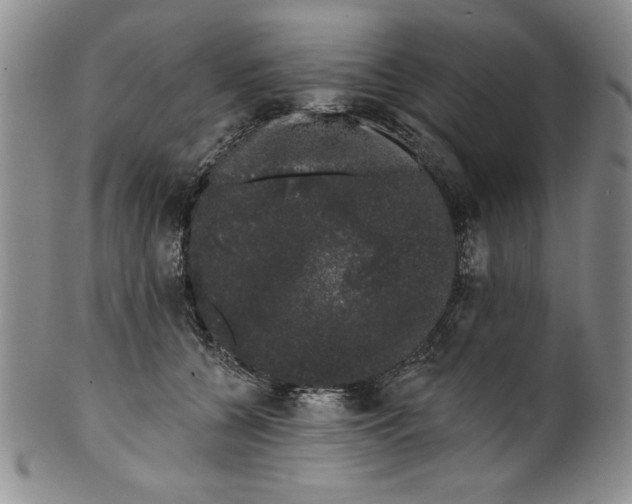 X0000101980560200808081618