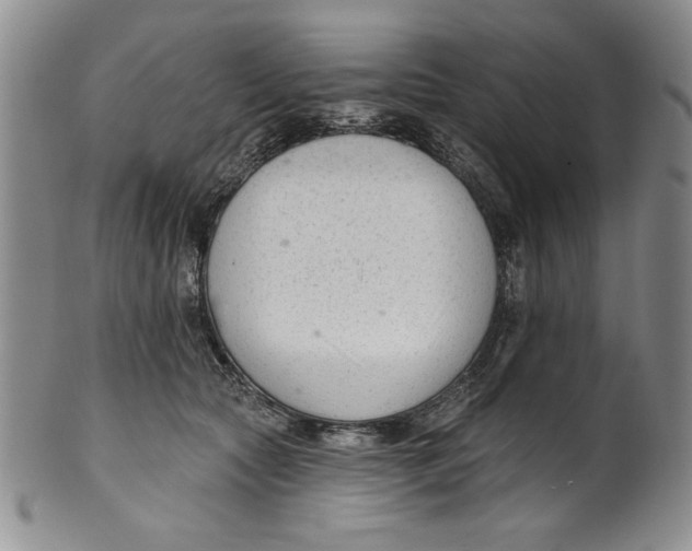 X0000101980561200808081618