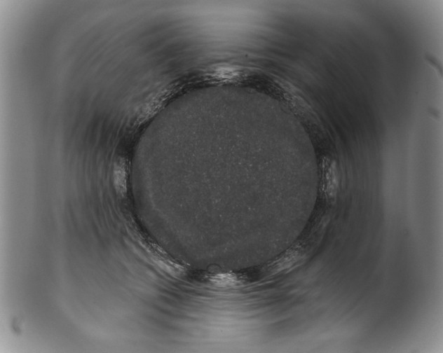 X0000101980562200808081618