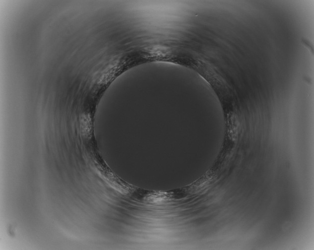 X0000101980563200808081618