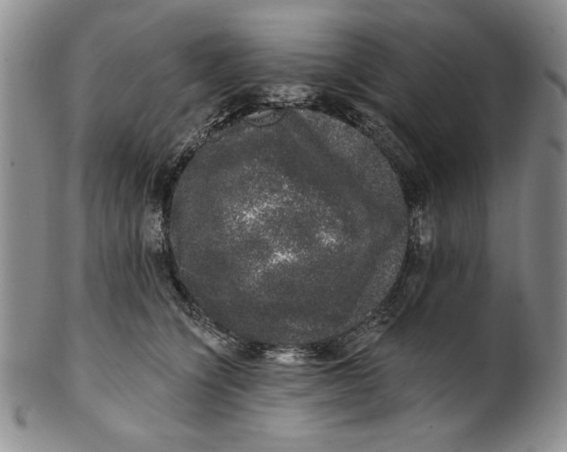 X0000101980564200808081618