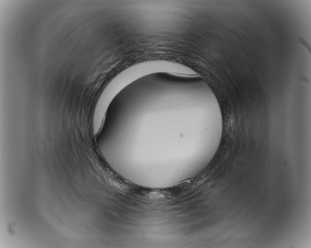 X0000101980566200808081618