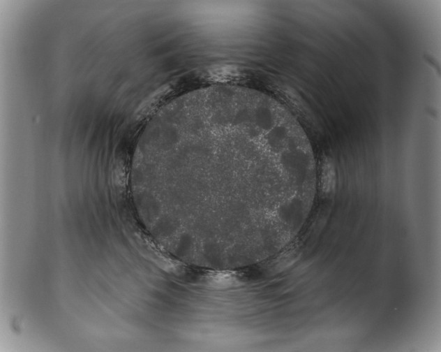 X0000101980569200808081618