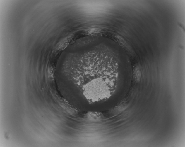 X0000101980571200808081618