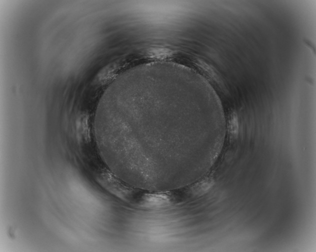 X0000101980572200808081618