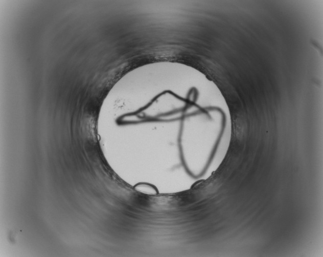 X0000101980575200808081618