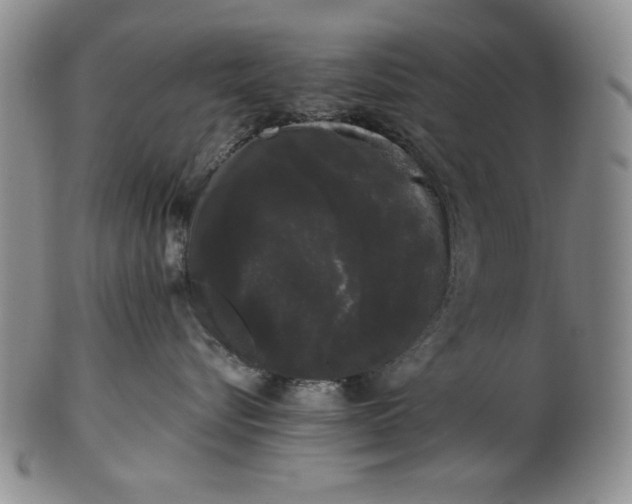 X0000101980576200808081618