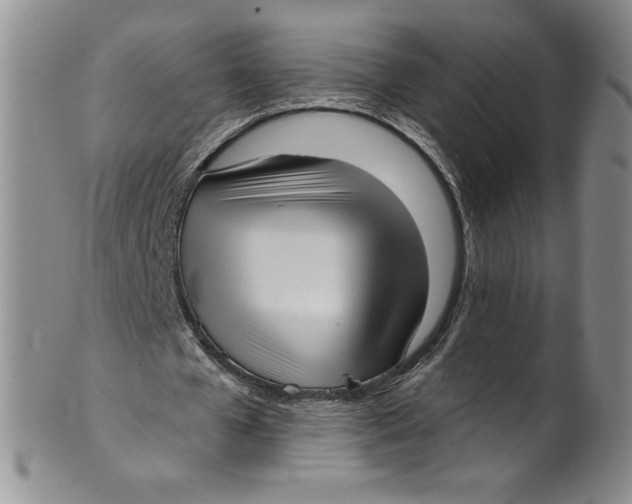 X0000101980577200808081617