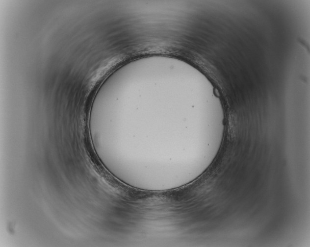 X0000101980578200808081617