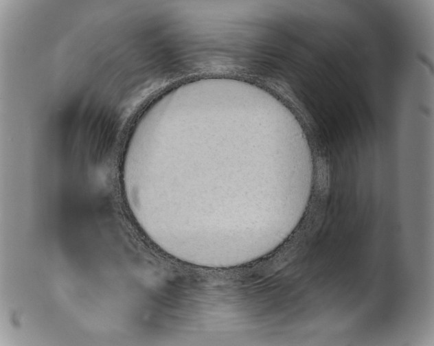 X0000101980579200808081617