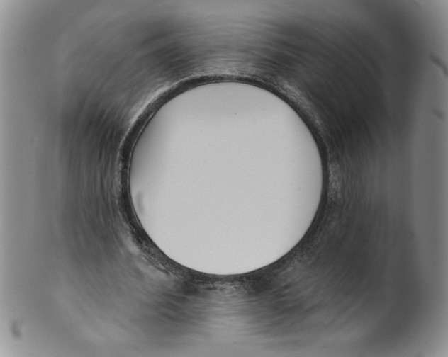 X0000101980580200808081617