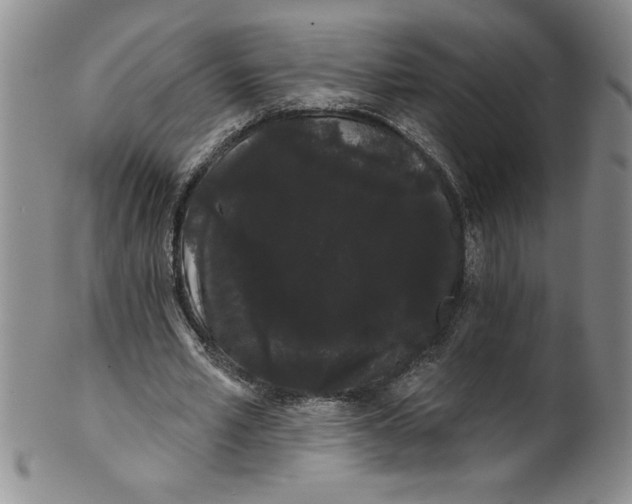 X0000101980581200808081617