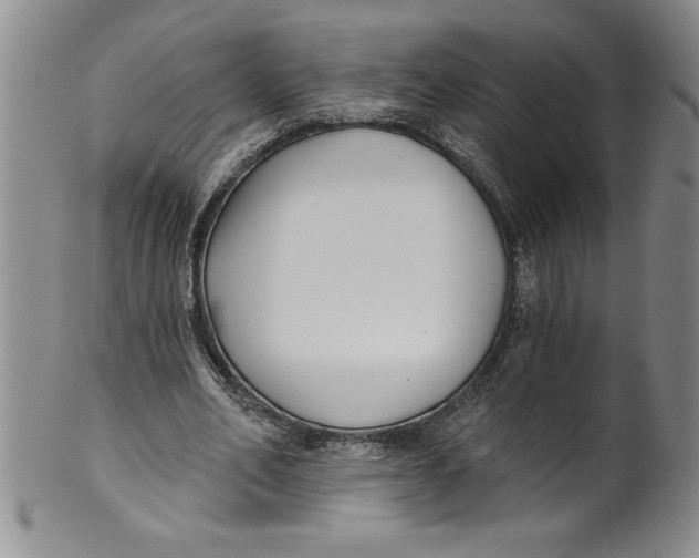 X0000101980582200808081617