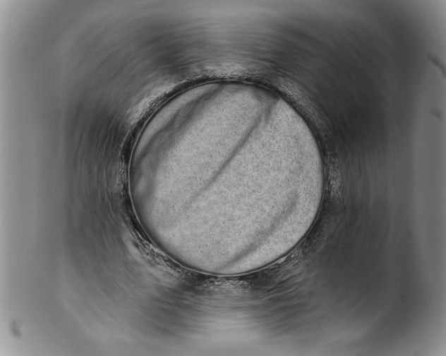 X0000101980583200808081617