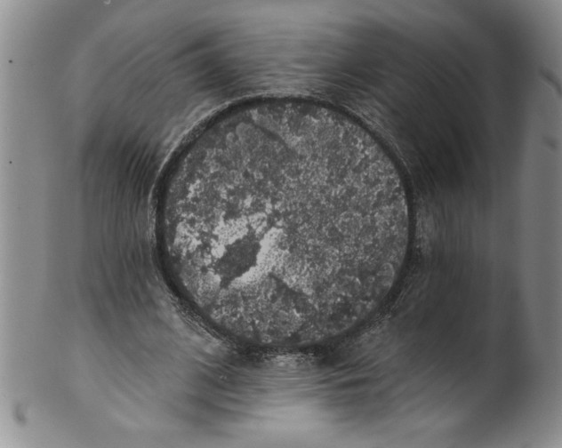 X0000101980584200808081617