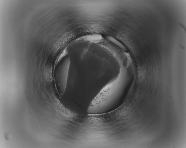 X0000101980585200808081617