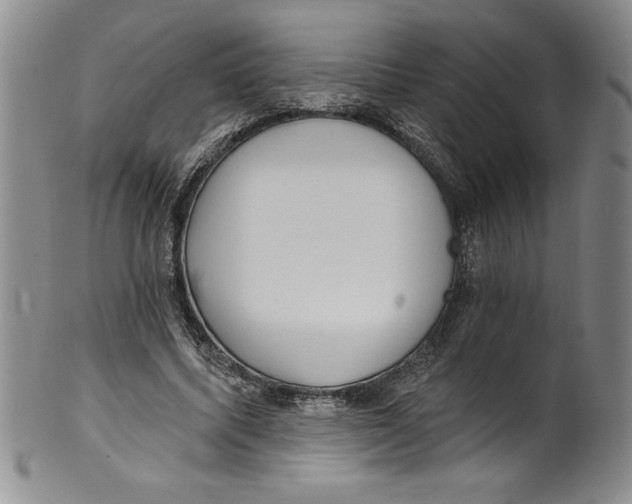 X0000101980587200808081617